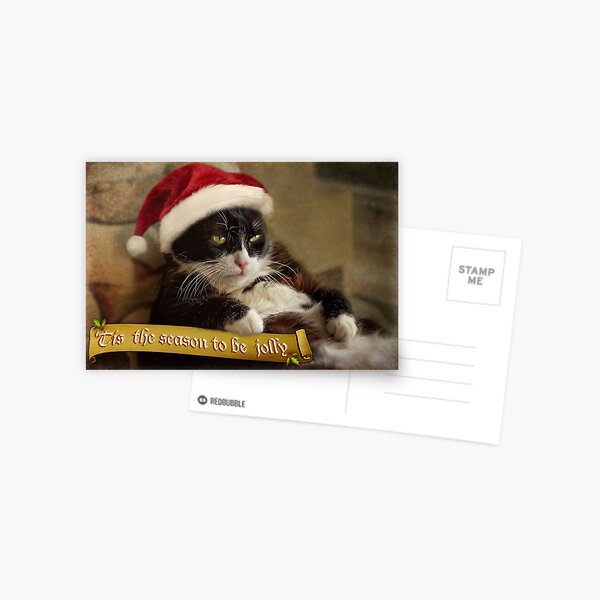 Tis the season for Trouble Postcard