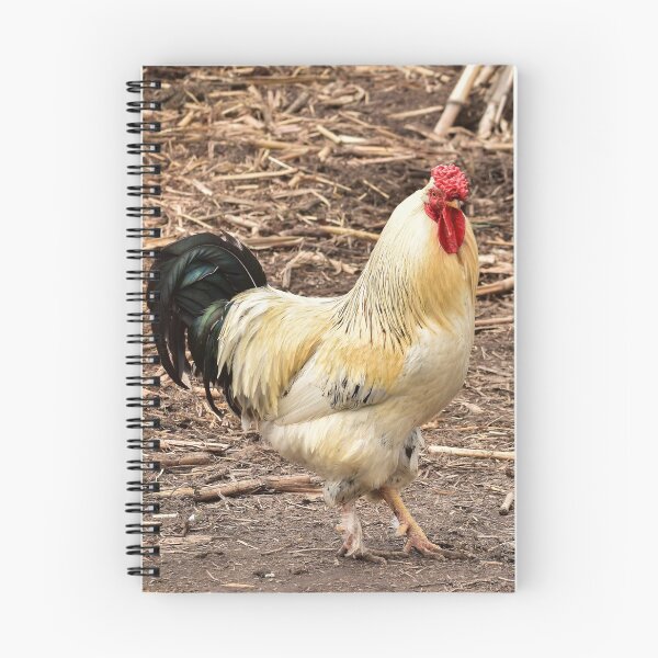 Item preview, Rooster in the garden designed and sold by Olimpia Negura.