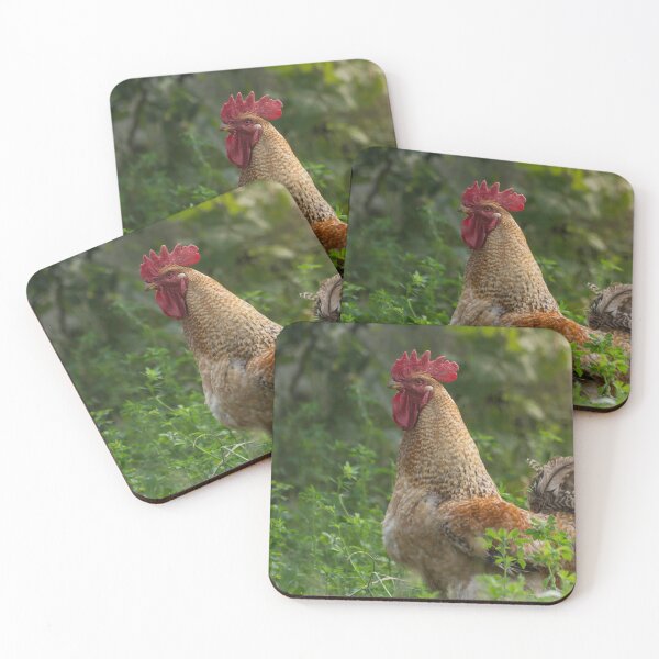 Item preview, Rooster in the garden designed and sold by Olimpia Negura.