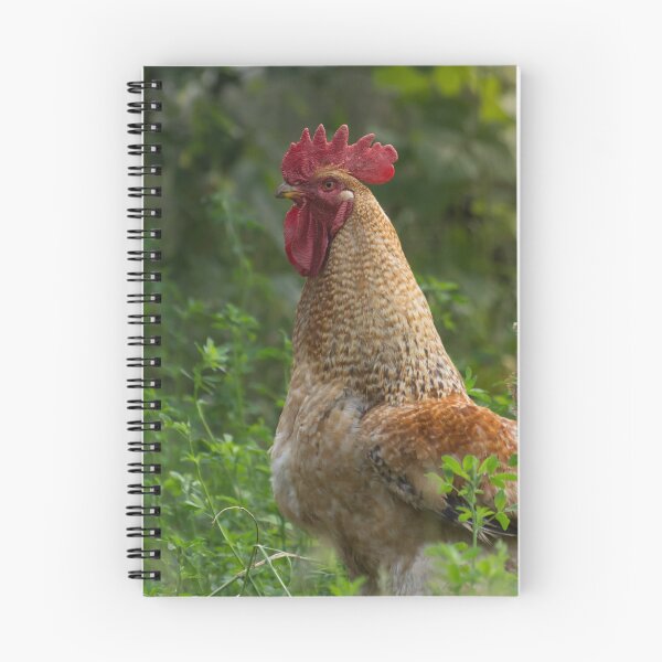 Item preview, Rooster in the garden designed and sold by Olimpia Negura.
