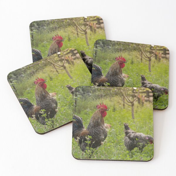 Item preview, Rooster in the garden designed and sold by Olimpia Negura.