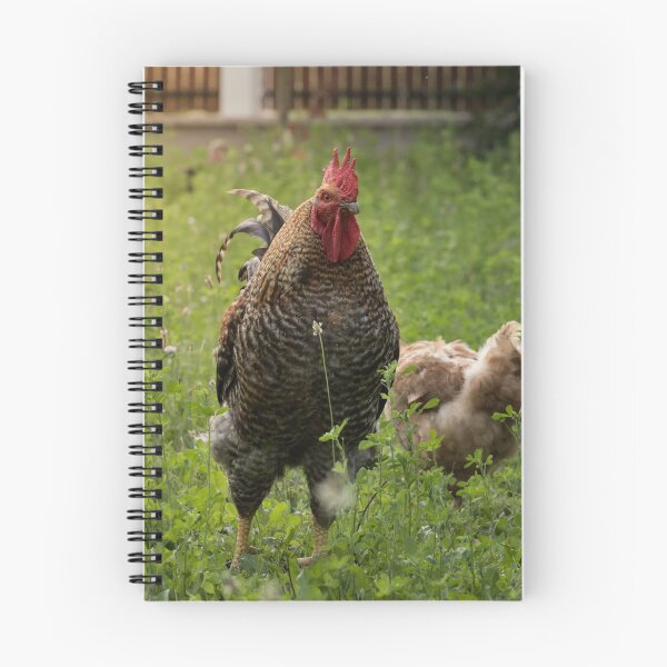 Item preview, Rooster in the garden designed and sold by Olimpia Negura.