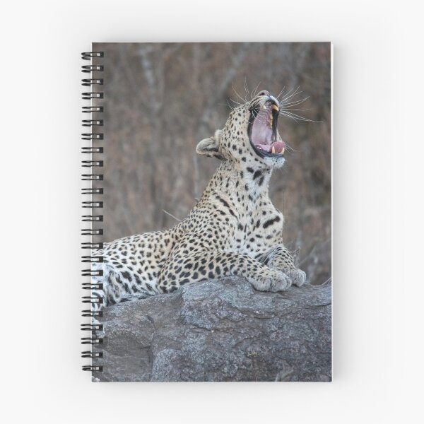 Item preview, Leopard designed and sold by Glynn  Lavender.