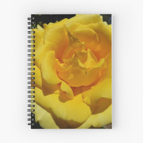 Item preview, Fresh & Beautiful! Gold Bunny Rose. Climber. designed and sold by RitaBlom.