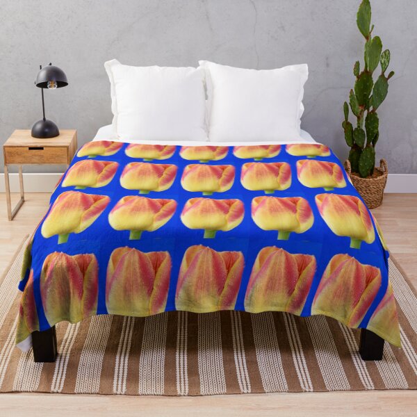 Item preview, Tulipa 'Candy Corner' Triumph Tulip designed and sold by Chris Burrows.