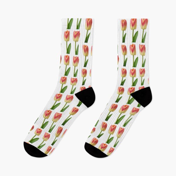 Item preview, Tulipán 'Candy Corner' Tulipán Triumph designed and sold by Chris Burrows.
