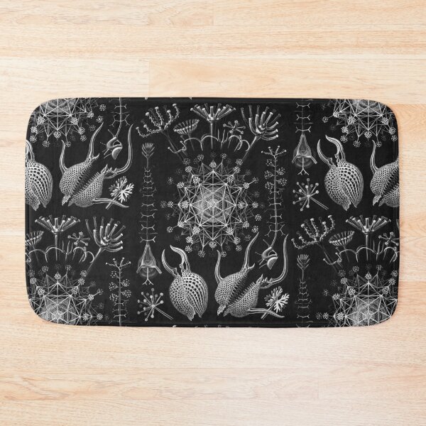 Item preview, Ernst Haeckel - Phaeodaria designed and sold by ShaMiLaB.