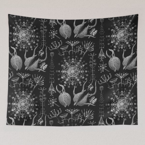 Item preview, Ernst Haeckel - Phaeodaria designed and sold by ShaMiLaB.