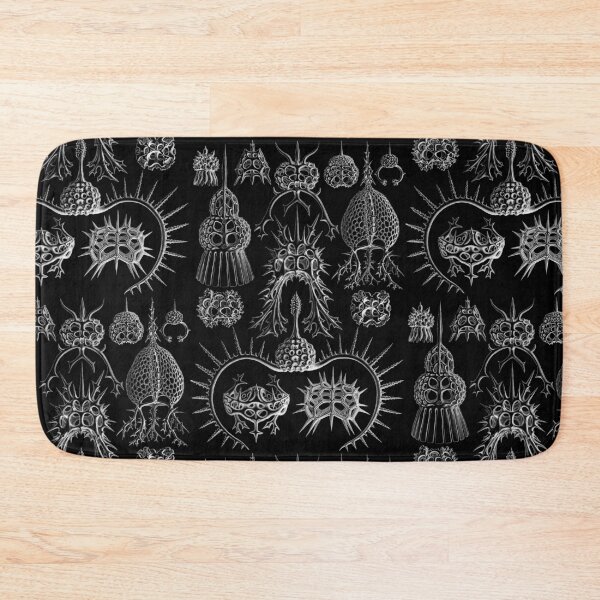 Item preview, Ernst Haeckel - Spyroidea designed and sold by ShaMiLaB.