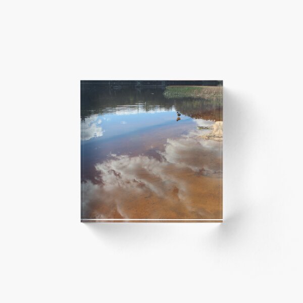 Contemplating Dunn's Swamp Acrylic Block