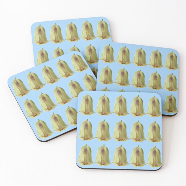 Item preview,  Fritillaria acmopetala AGM Pointed-petal fritillary designed and sold by Chris Burrows.