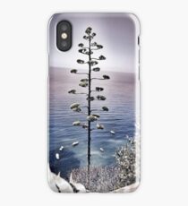 Vernazza iPhone Case