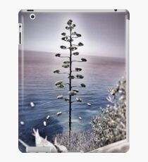 Vernazza iPad Case/Skin