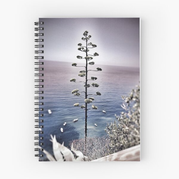 Item preview, Vernazza designed and sold by BdealaPhotos.