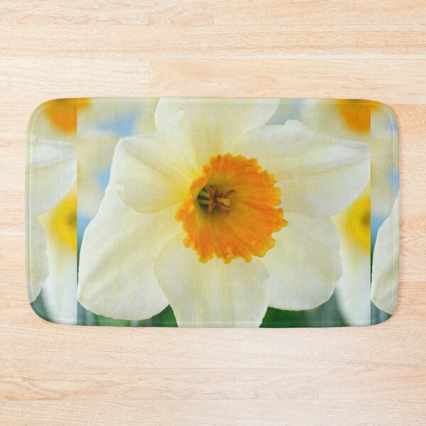 Item preview, Narcissus  'Sempre Avanti'   Div. 2  Large-cupped  Daffodil  designed and sold by Chris Burrows.