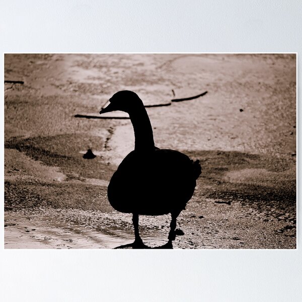 Item preview, Swan Silhouette designed and sold by stanowen.