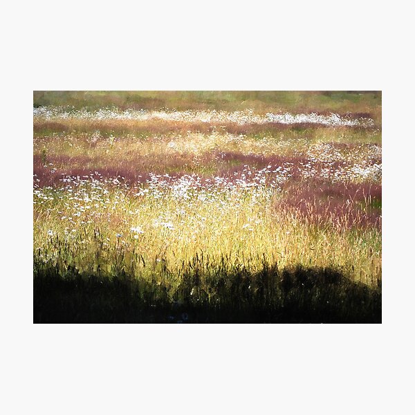Painting for an Office Wall Photographic Print