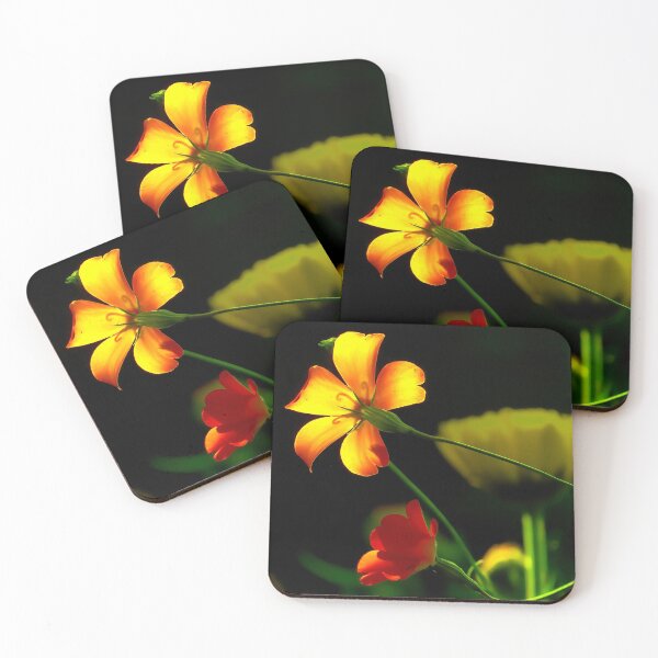 Item preview, #60 Summer Flowers Lit Up By The Sun designed and sold by phutball.
