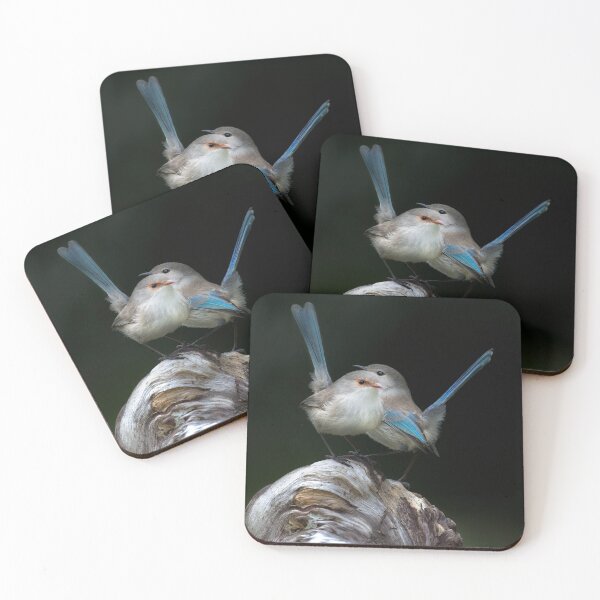 Item preview, Splendid Blue Wrens, Gwen and Bruce   designed and sold by gwenthewren.
