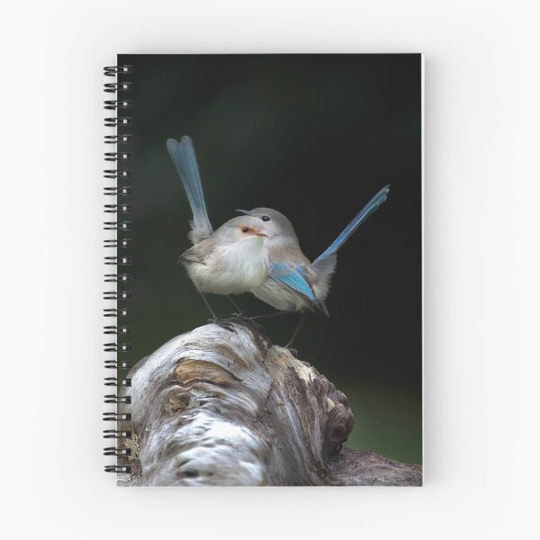 Item preview, Splendid Blue Wrens, Gwen and Bruce   designed and sold by gwenthewren.