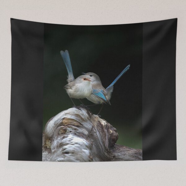 Item preview, Splendid Blue Wrens, Gwen and Bruce designed and sold by gwenthewren.