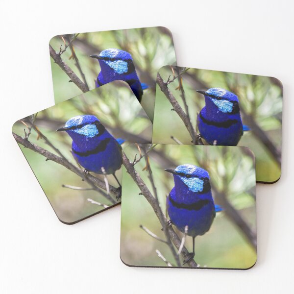 Item preview, Bruce the Splendid Fairy Wren designed and sold by gwenthewren.
