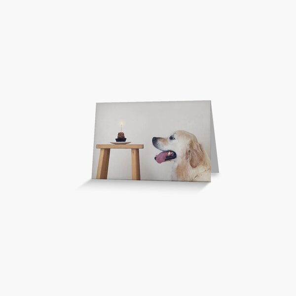 Item preview, Happy Birthday Doggy designed and sold by CathHolmesPhoto.