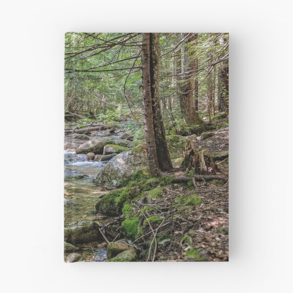 Item preview, Río Swift designed and sold by PhotosByHealy.