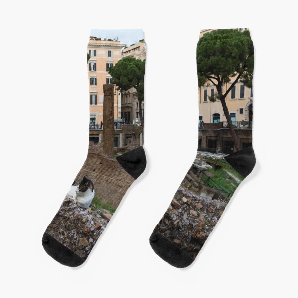 Oh So Rome - Cats, Umbrella Pines and Ancient Ruins Socks