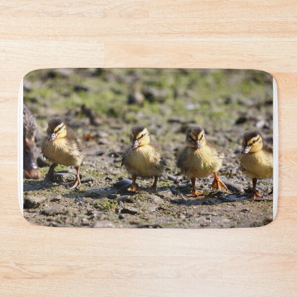 Item preview, The cutest line up! designed and sold by GreyFeatherPhot.