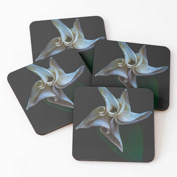 Item preview, Datura. It'll killa ya, fo shura. designed and sold by alan shapiro.