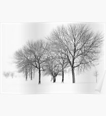 Stormy Winter Trees - Lake Michigan Poster