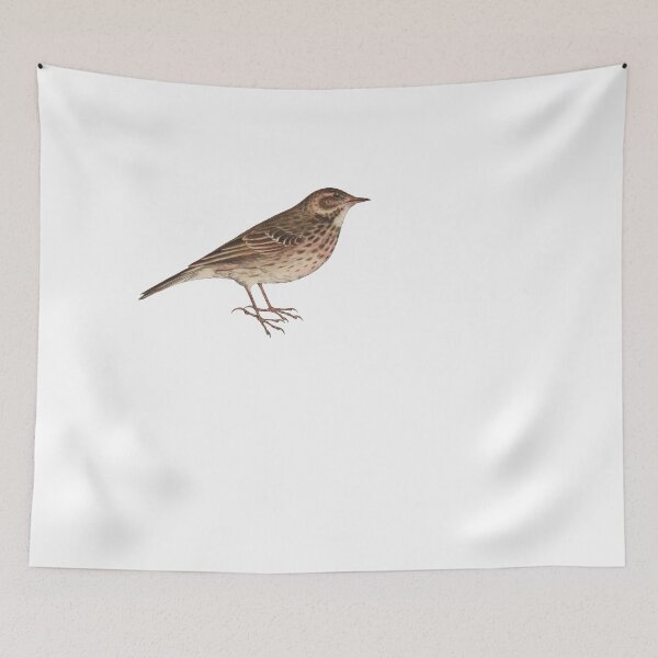 Item preview, Bird Art - Tree Pipit - Vintage bird print designed and sold by Studio66Designs.