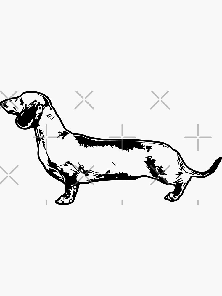 Dachshund Silhouette by tribbledesign