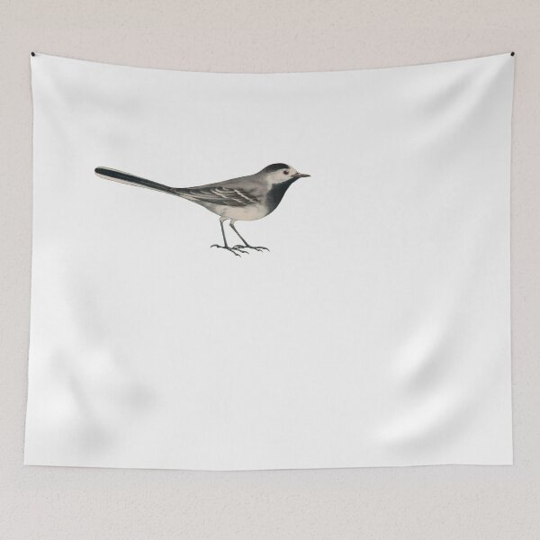 Item preview, Bird Art - white wagtail - Vintage bird print designed and sold by Studio66Designs.