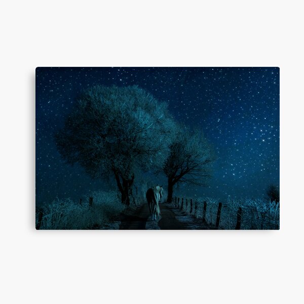 Solo Canvas Print