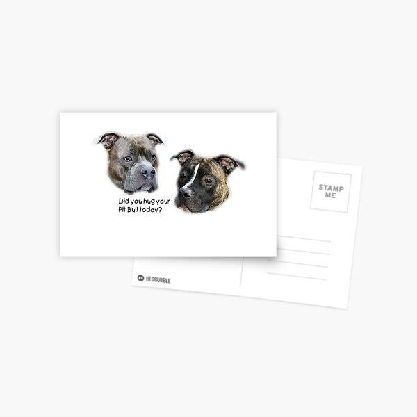 Did you hug your Pit Bull today? Postcard