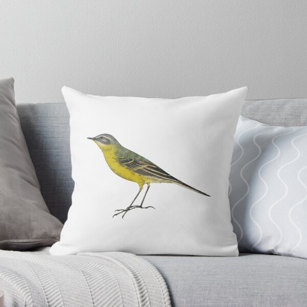 Item preview, Bird Art - western yellow wagtail - Vintage bird print designed and sold by Studio66Designs.