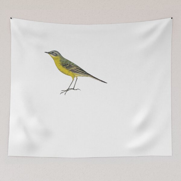 Item preview, Bird Art - western yellow wagtail - Vintage bird print designed and sold by Studio66Designs.
