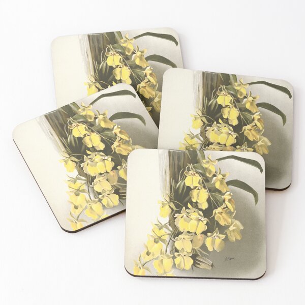 Item preview, Antique botany: drawing of beautiful yellow orchid designed and sold by AntiqueScience.