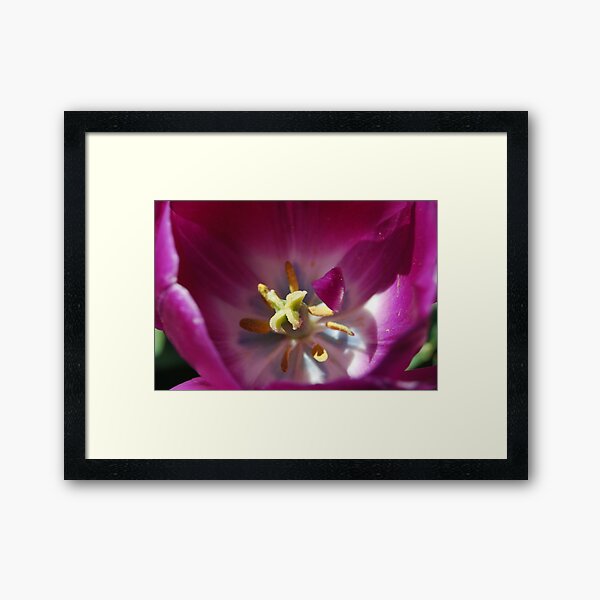 Purple Curl Framed Art Print