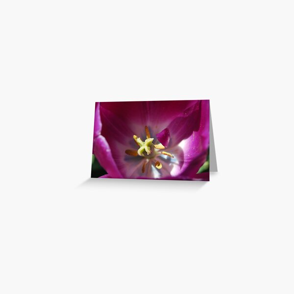 Purple Curl Greeting Card
