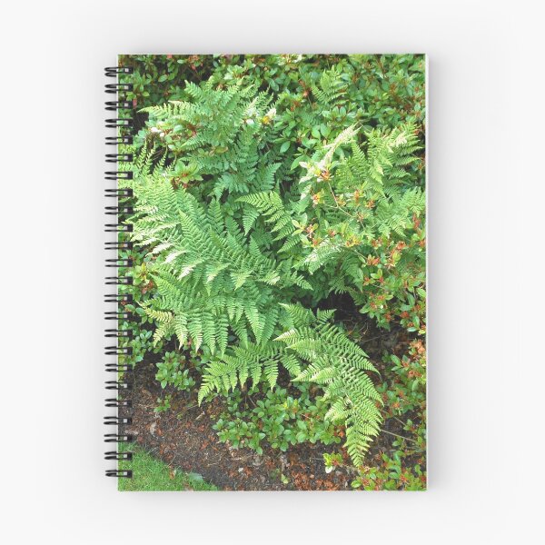 Item preview, Ferns and Bushes designed and sold by MidnightMelody.