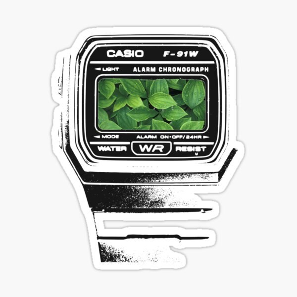 casio f91w retro