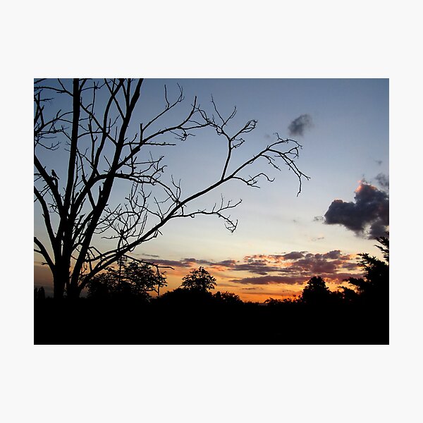 When The Night Comes Photographic Print