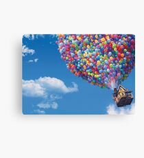 The House from Up Canvas Print