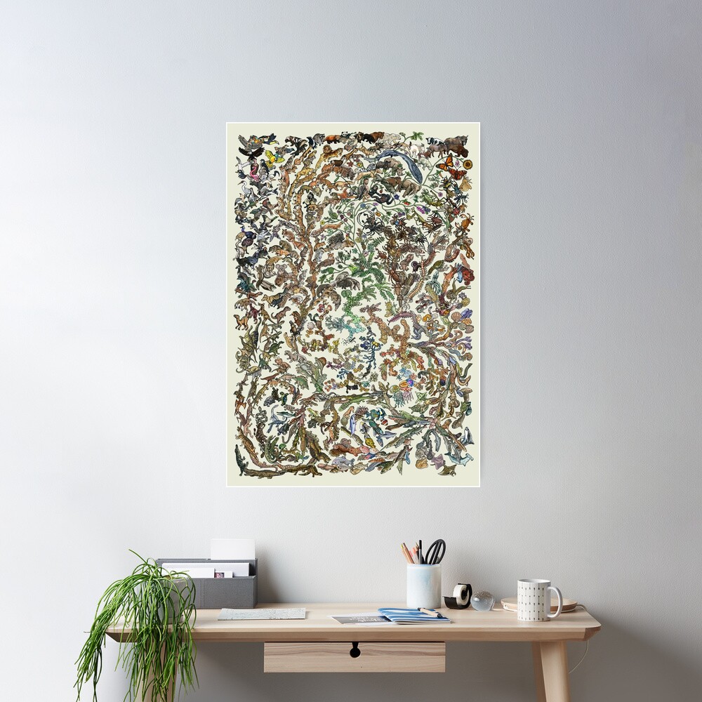Tree of Life Poster - Animal Evolution - Colour (New Design Available) Poster