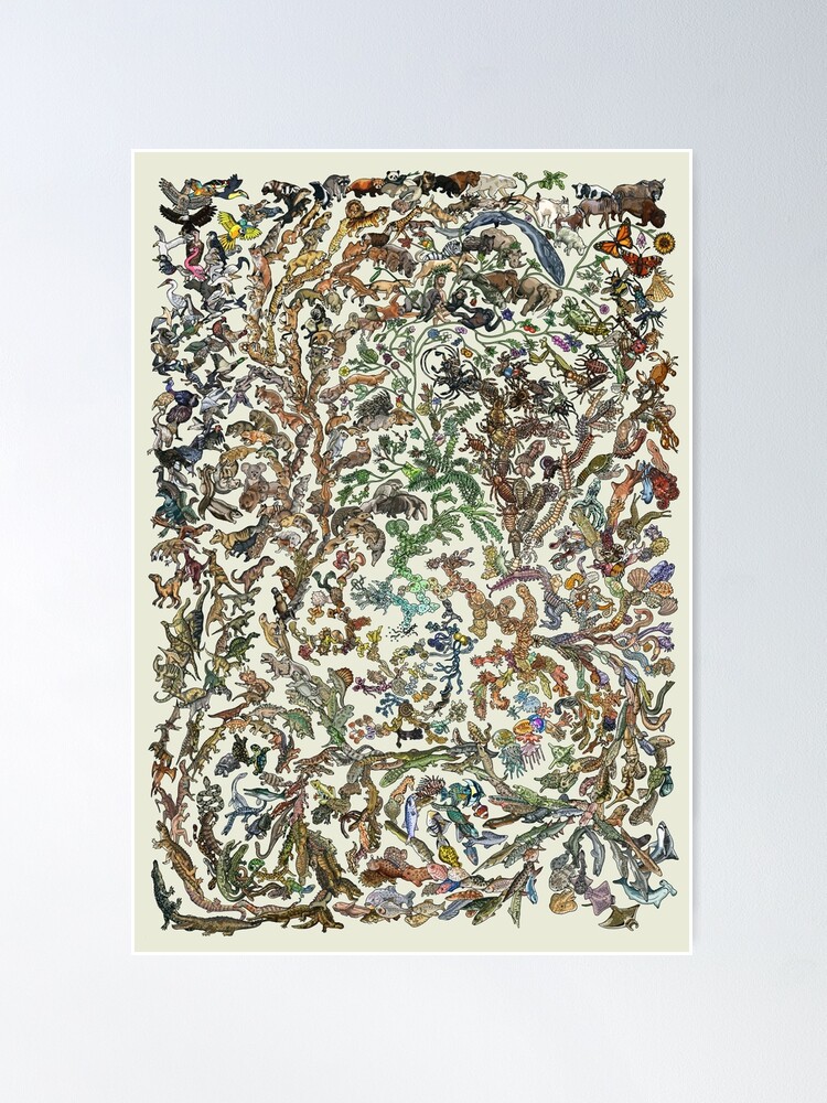 Alternate view of Tree of Life Poster - Animal Evolution - Colour (New Design Available) Poster