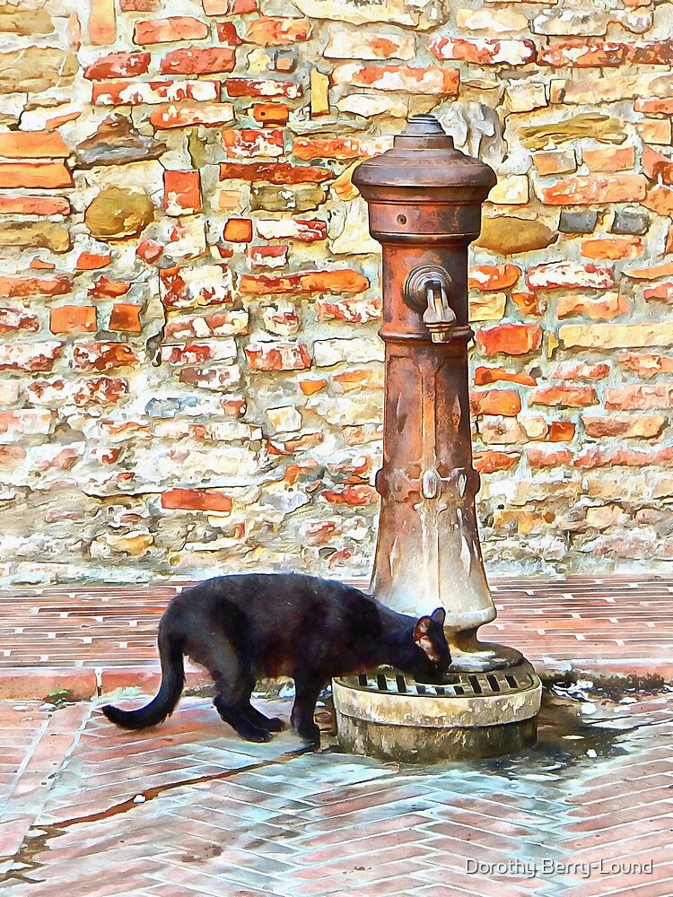 Thirsty Black Cat by ShannathShima