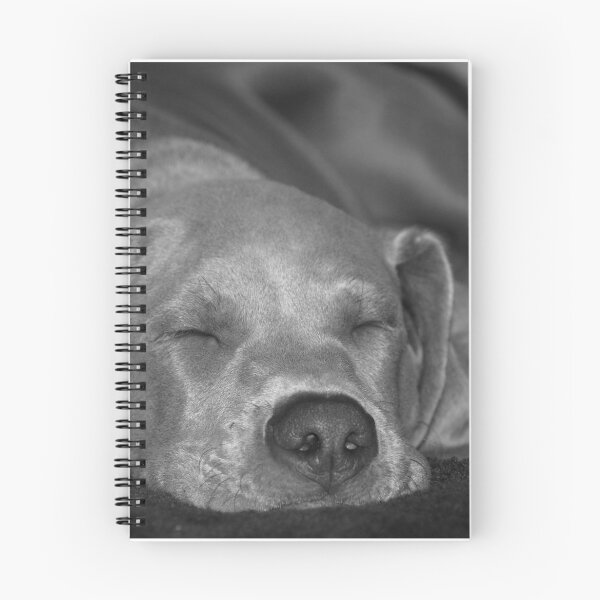 Item preview, sleepyhead designed and sold by fishinmusician.